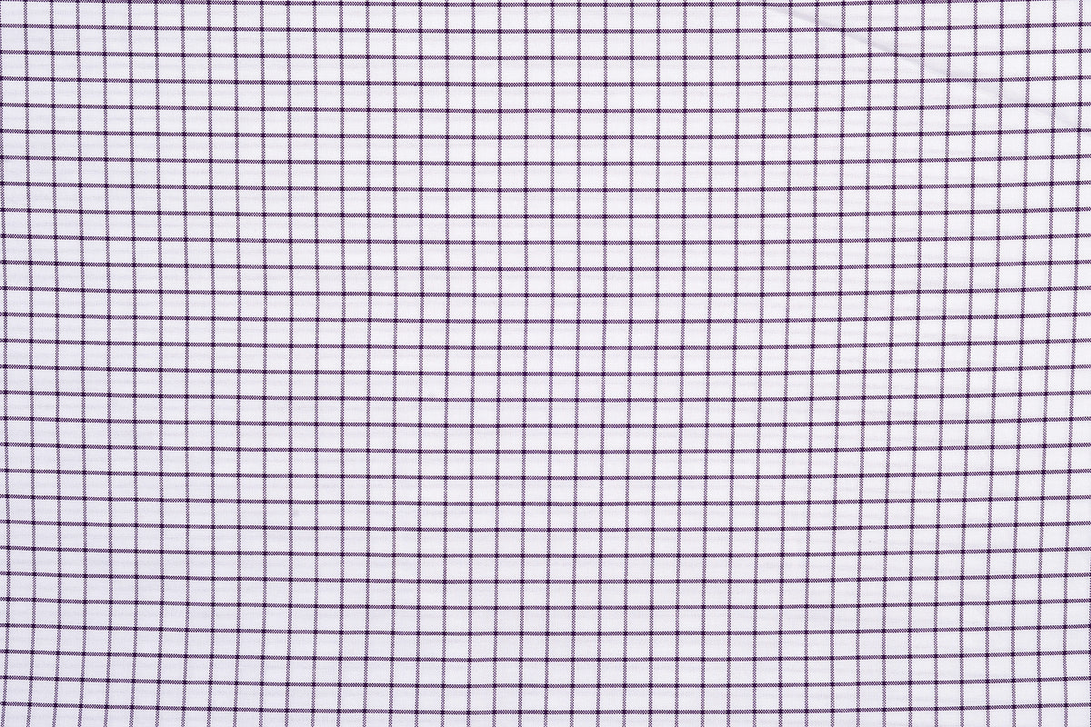 Summer Oxford: Purple White Checks - 4