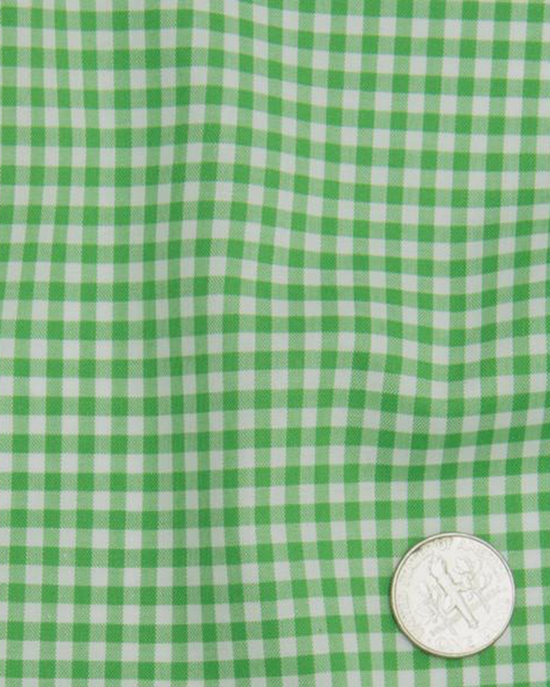 Lincon Green Gingham on White - 4