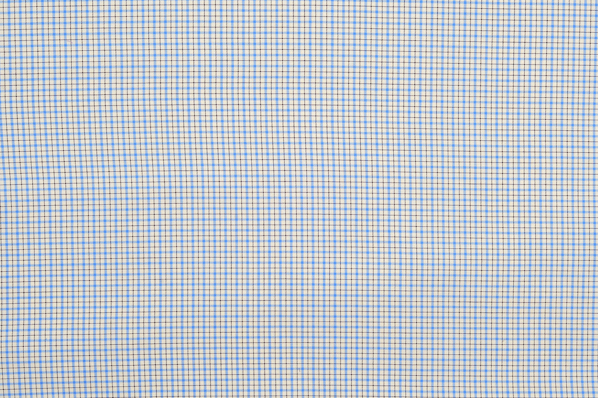 Blue Black on Cream Tattersall Twill - 4