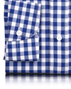 Estate Blue Gingham Checks On White Shirt
