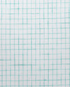 Linen: Aqua Green Graph Checks On White Shirt