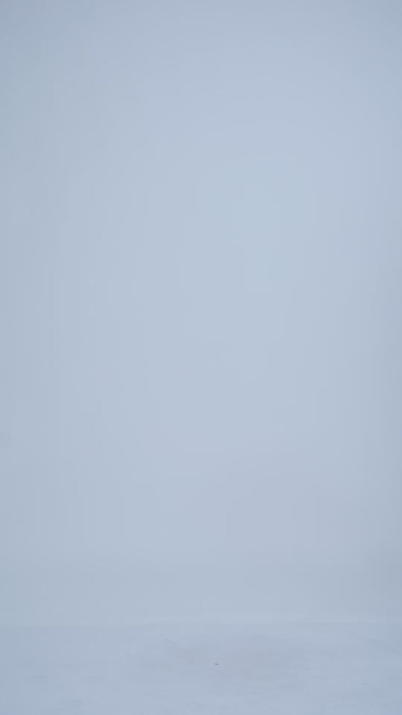 Blue Soft Polo T-Shirt