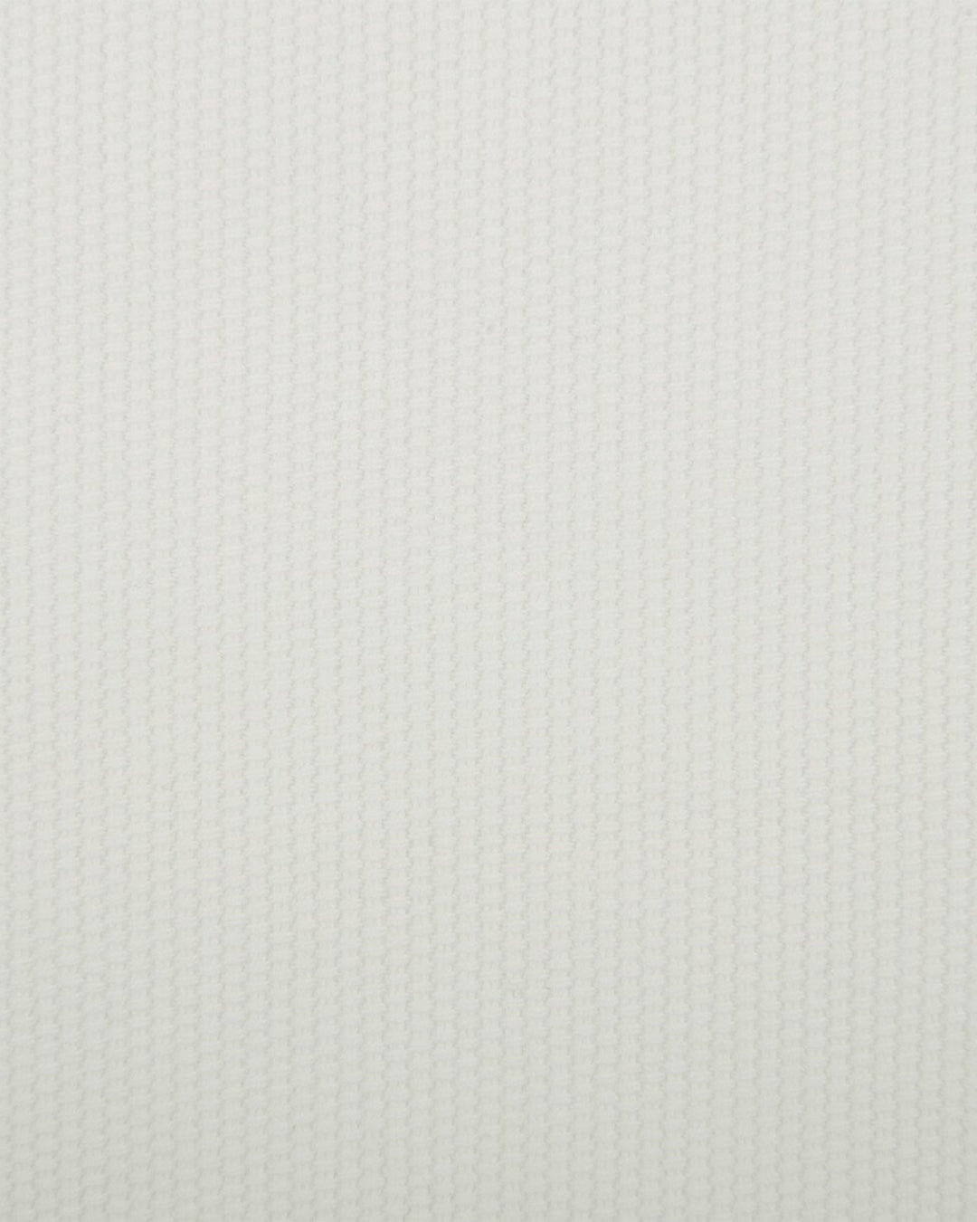 Off-White Cotton Canvas