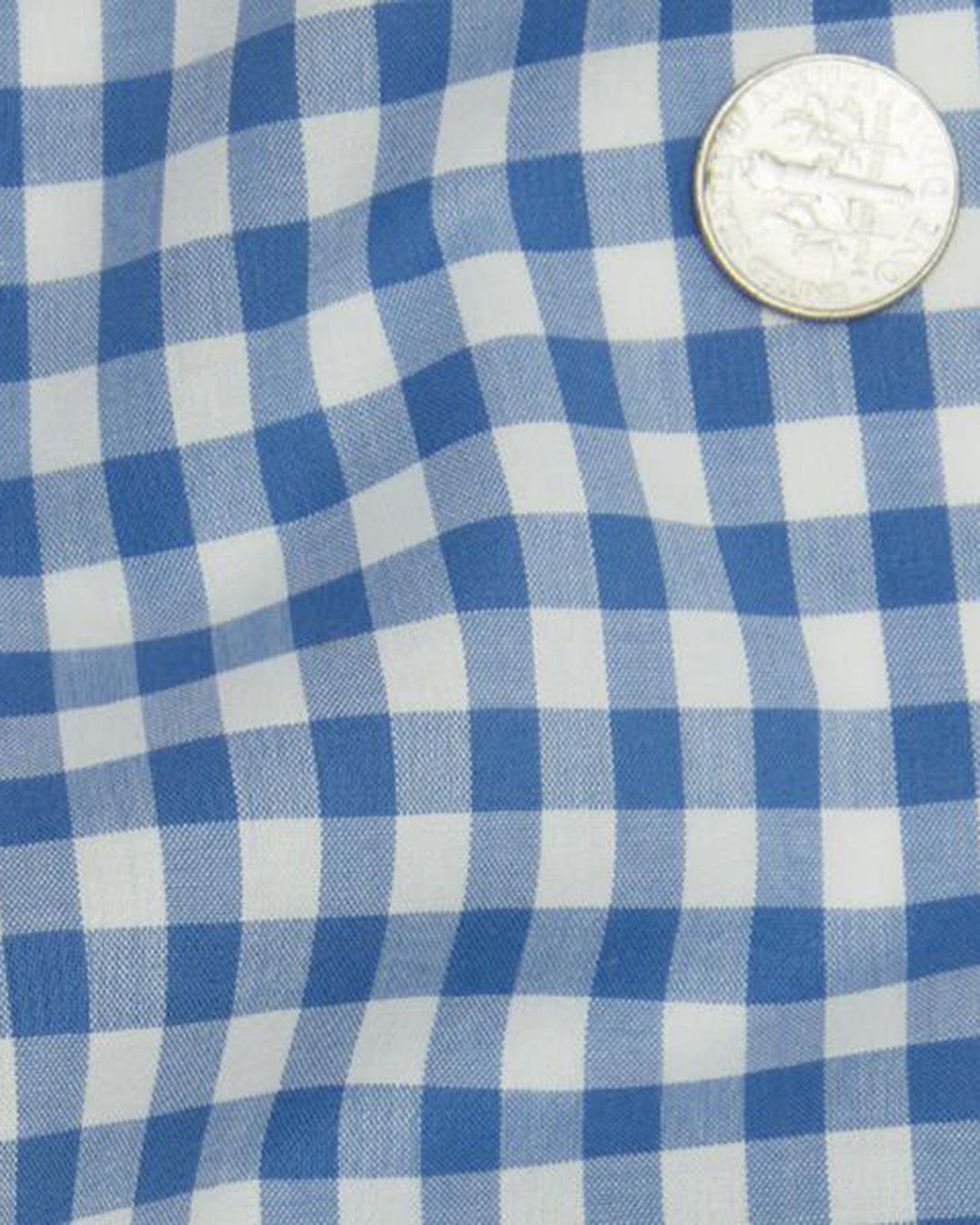 Ultramarine Blue Checks on White - 4