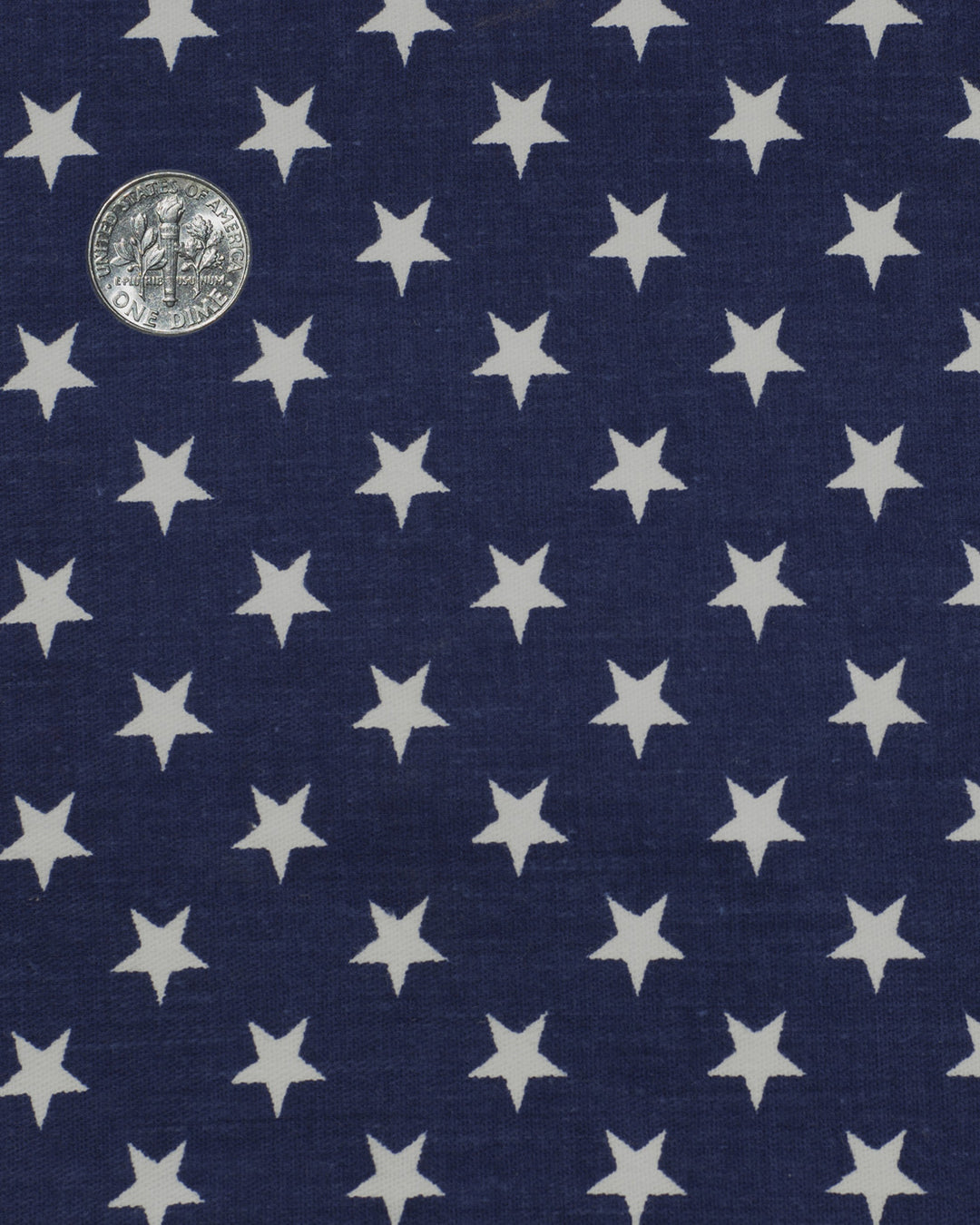 Indigo Printed Stars - 4