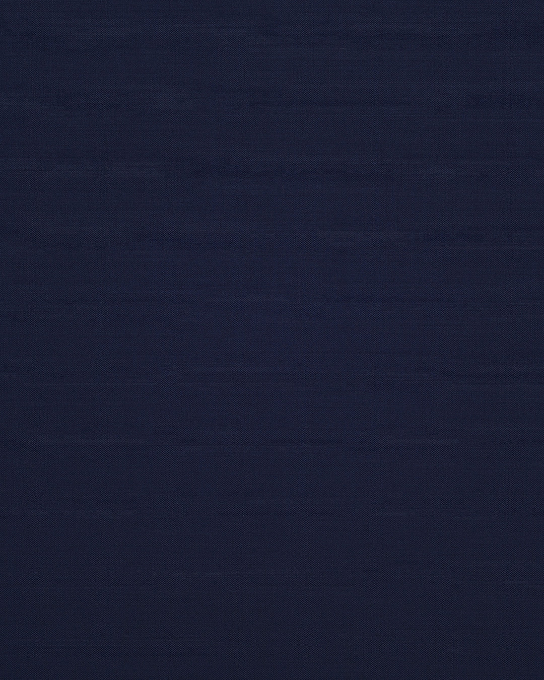 Vitale Barberis Canonico - 120s 2 Ply Blueberry - 5